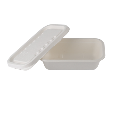 disposable biodegradable eco-friendly lunch box