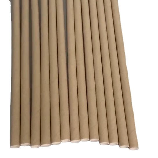 biodegradable disposable paper straw