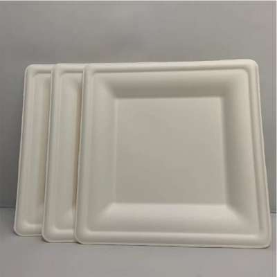 Biodegradable Bamboo Pulp Food Packing Tray