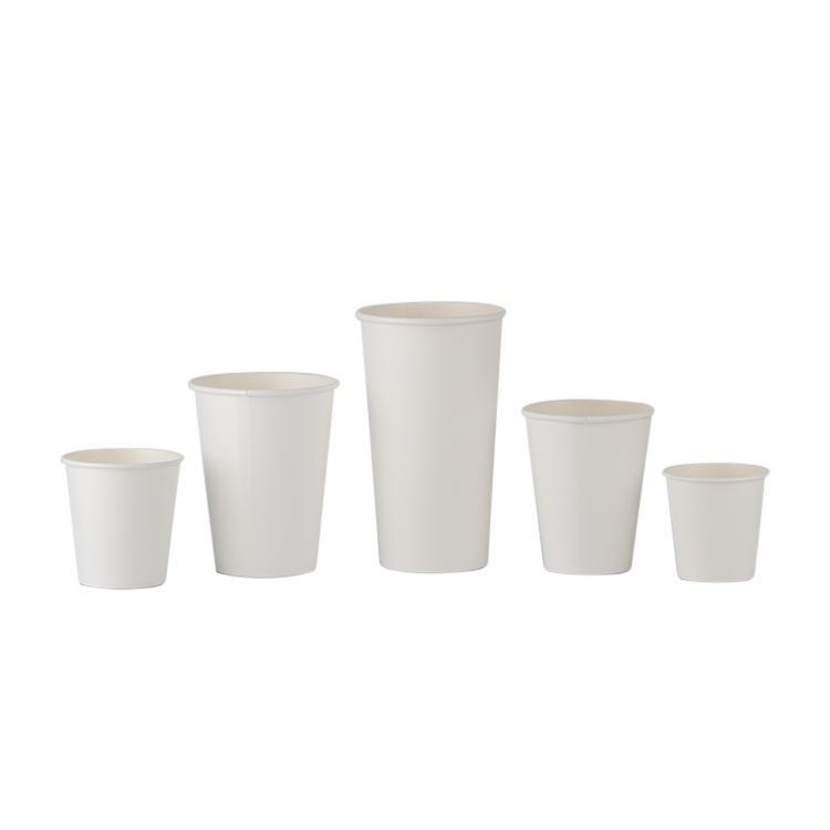 100% Biodegradable disposable sugarcane pulp PLA-coating coffee paper cup